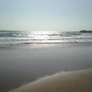 Meet your Posher, Irma